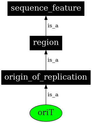 Graph image for SO:0000724