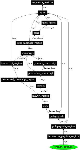 Graph image for SO:0000725