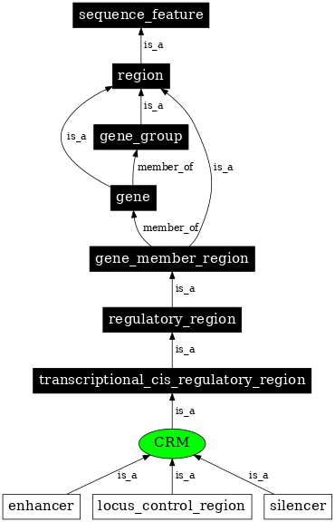 Graph image for SO:0000727
