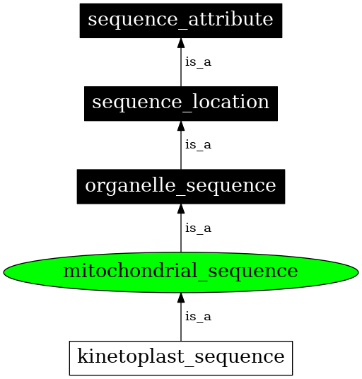 Graph image for SO:0000737