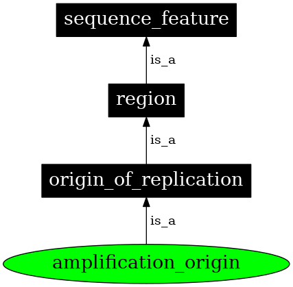 Graph image for SO:0000750