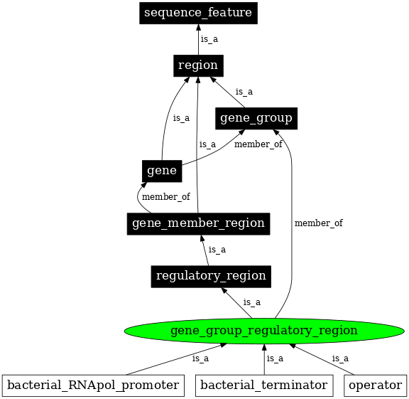 Graph image for SO:0000752