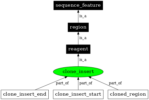Graph image for SO:0000753