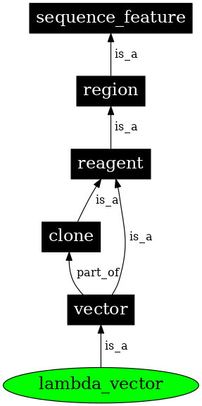 Graph image for SO:0000754