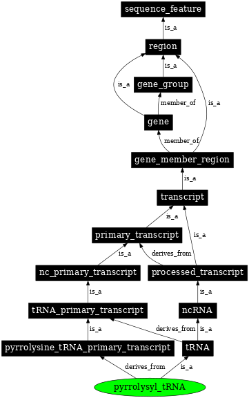 Graph image for SO:0000766