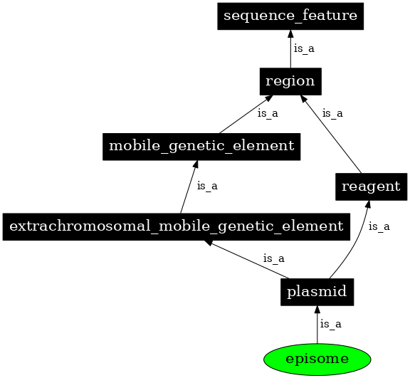 Graph image for SO:0000768