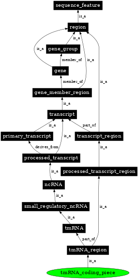 Graph image for SO:0000769