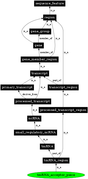 Graph image for SO:0000770