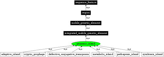 Graph image for SO:0000772
