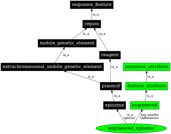 Graph image for SO:0000779