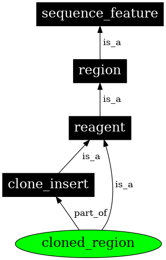 Graph image for SO:0000785