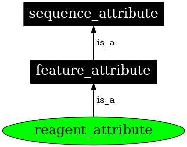 Graph image for SO:0000786