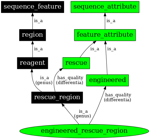 Graph image for SO:0000794