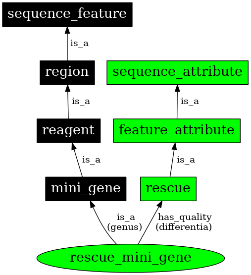 Graph image for SO:0000795