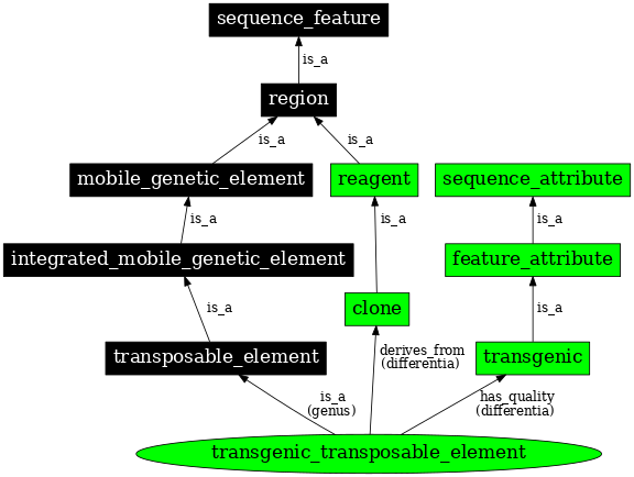 Graph image for SO:0000796