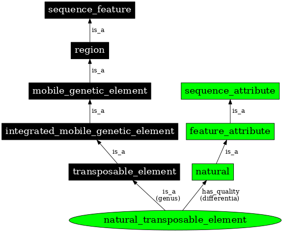 Graph image for SO:0000797