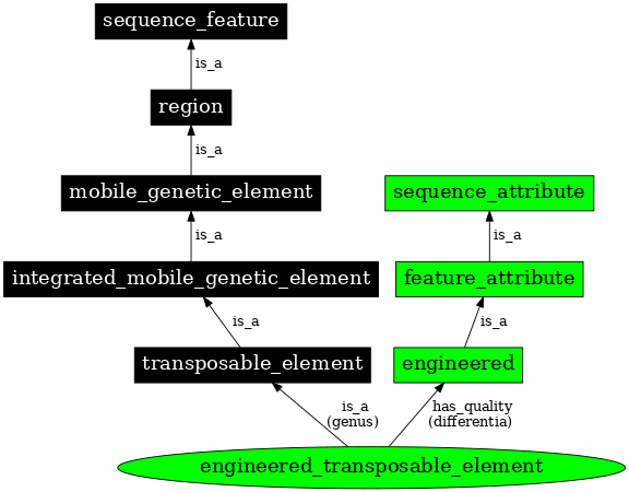 Graph image for SO:0000798