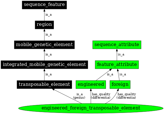 Graph image for SO:0000799