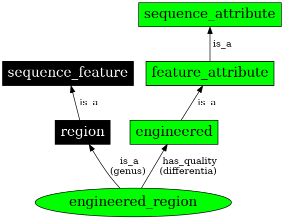 Graph image for SO:0000804