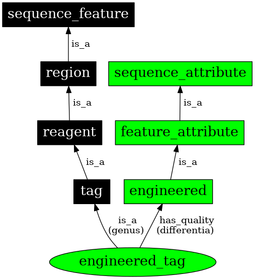 Graph image for SO:0000807