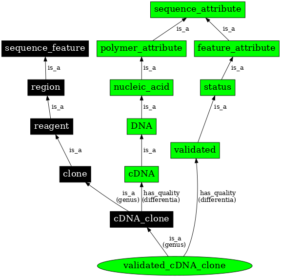 Graph image for SO:0000808