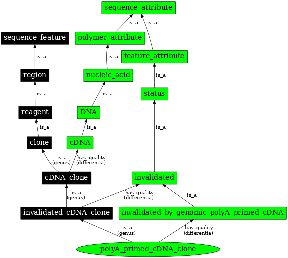 Graph image for SO:0000812