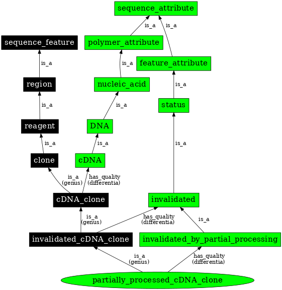 Graph image for SO:0000813