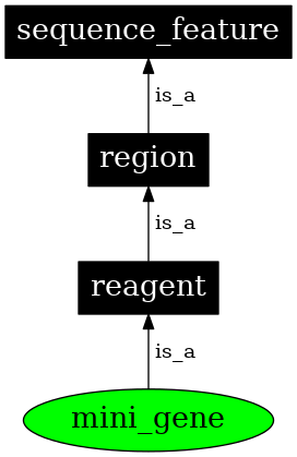 Graph image for SO:0000815