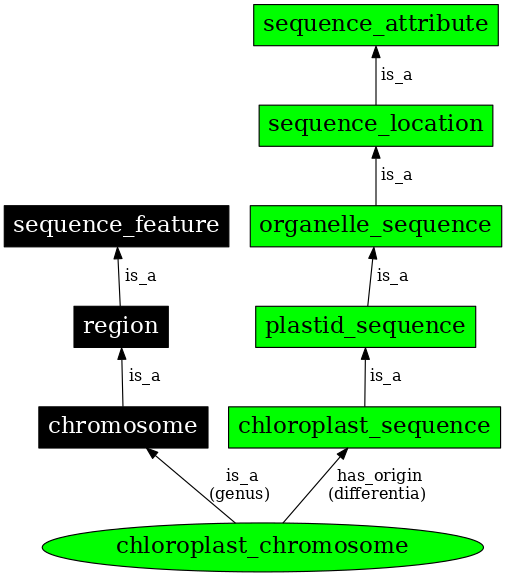 Graph image for SO:0000820