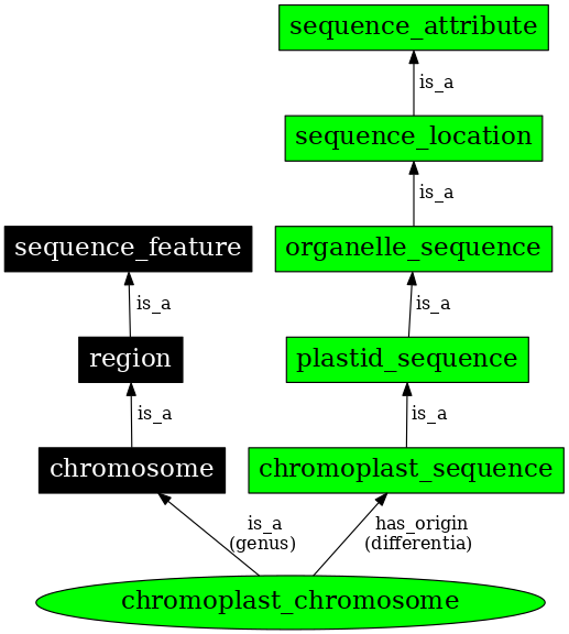 Graph image for SO:0000821