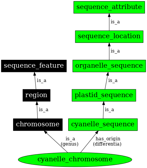 Graph image for SO:0000822
