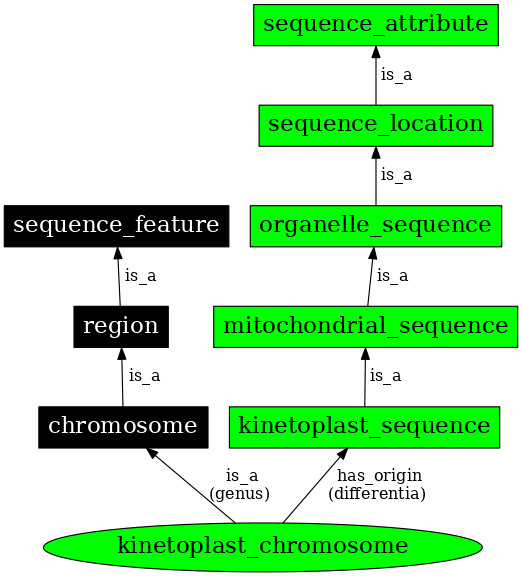 Graph image for SO:0000826