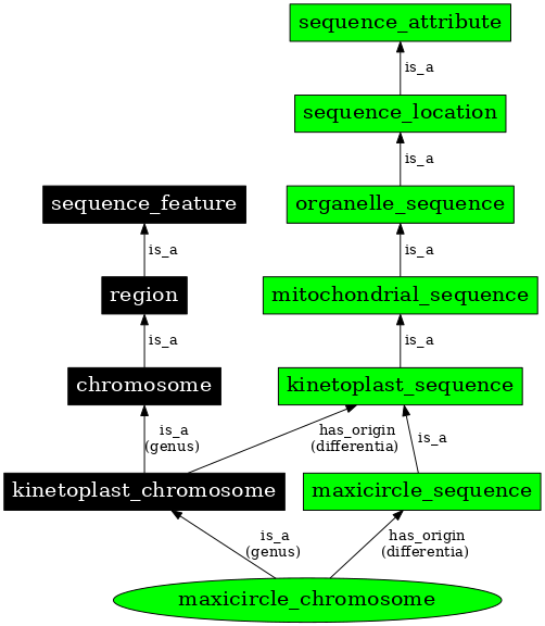 Graph image for SO:0000827