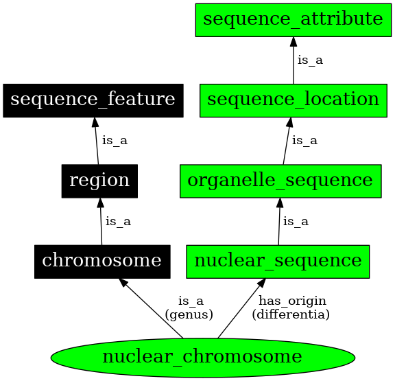 Graph image for SO:0000828