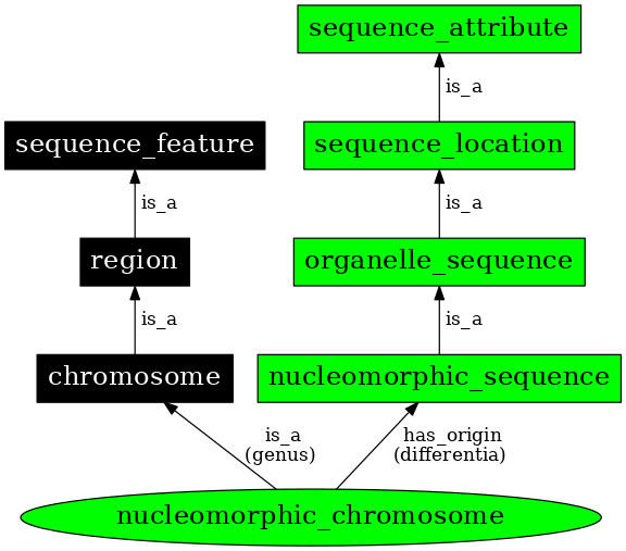 Graph image for SO:0000829