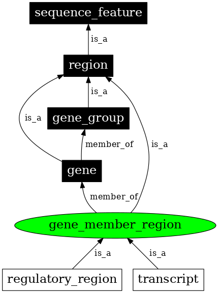 Graph image for SO:0000831