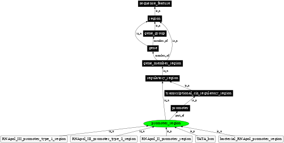 Graph image for SO:0000832