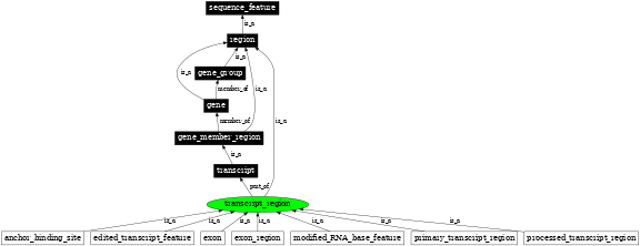 Graph image for SO:0000833