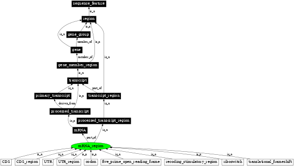 Graph image for SO:0000836