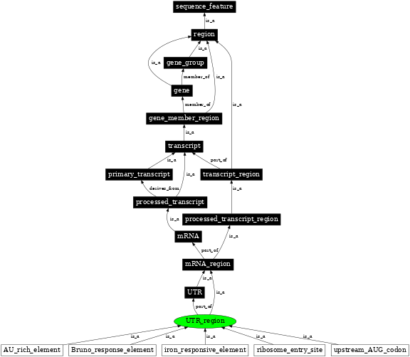 Graph image for SO:0000837