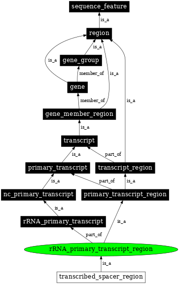 Graph image for SO:0000838