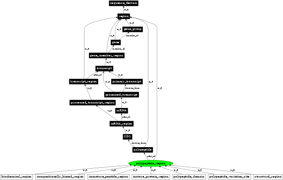 Graph image for SO:0000839