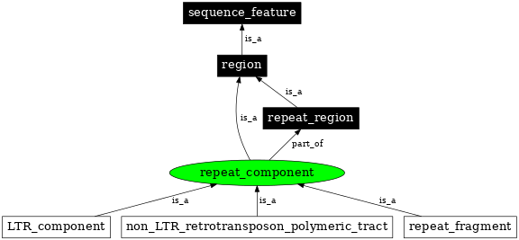 Graph image for SO:0000840