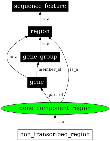 Graph image for SO:0000842