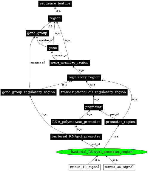 Graph image for SO:0000843