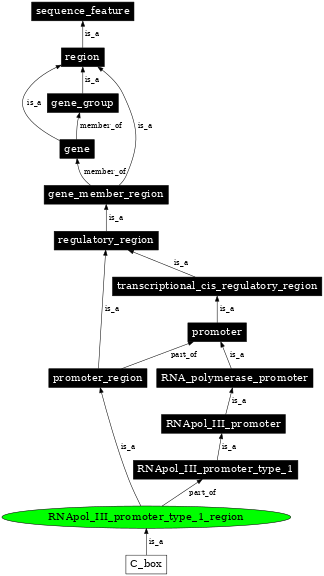 Graph image for SO:0000845