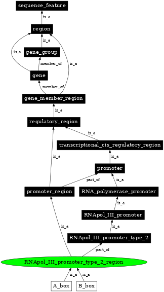 Graph image for SO:0000846