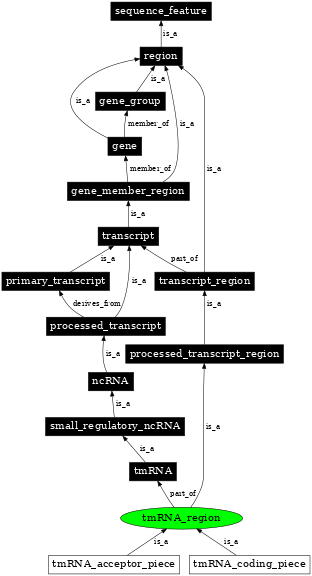 Graph image for SO:0000847
