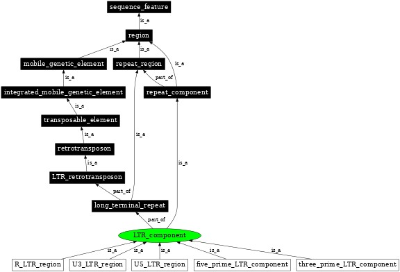 Graph image for SO:0000848