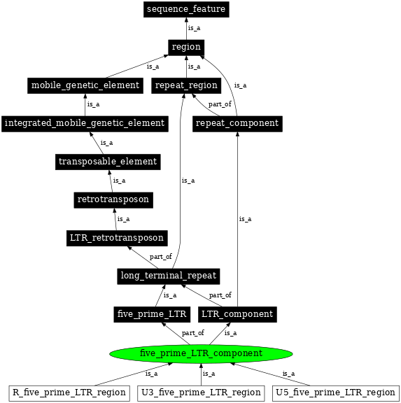 Graph image for SO:0000850